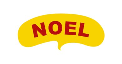 Noel KG Logo