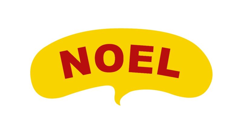 Noel KG Logo