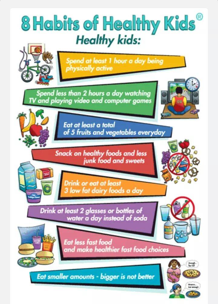 8 Habits Of Healthy Kids – Noel School